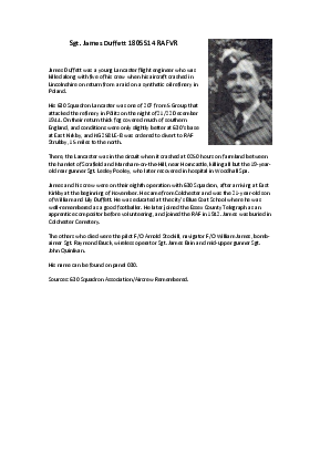 A preview of a PDF biography for Duffett, James